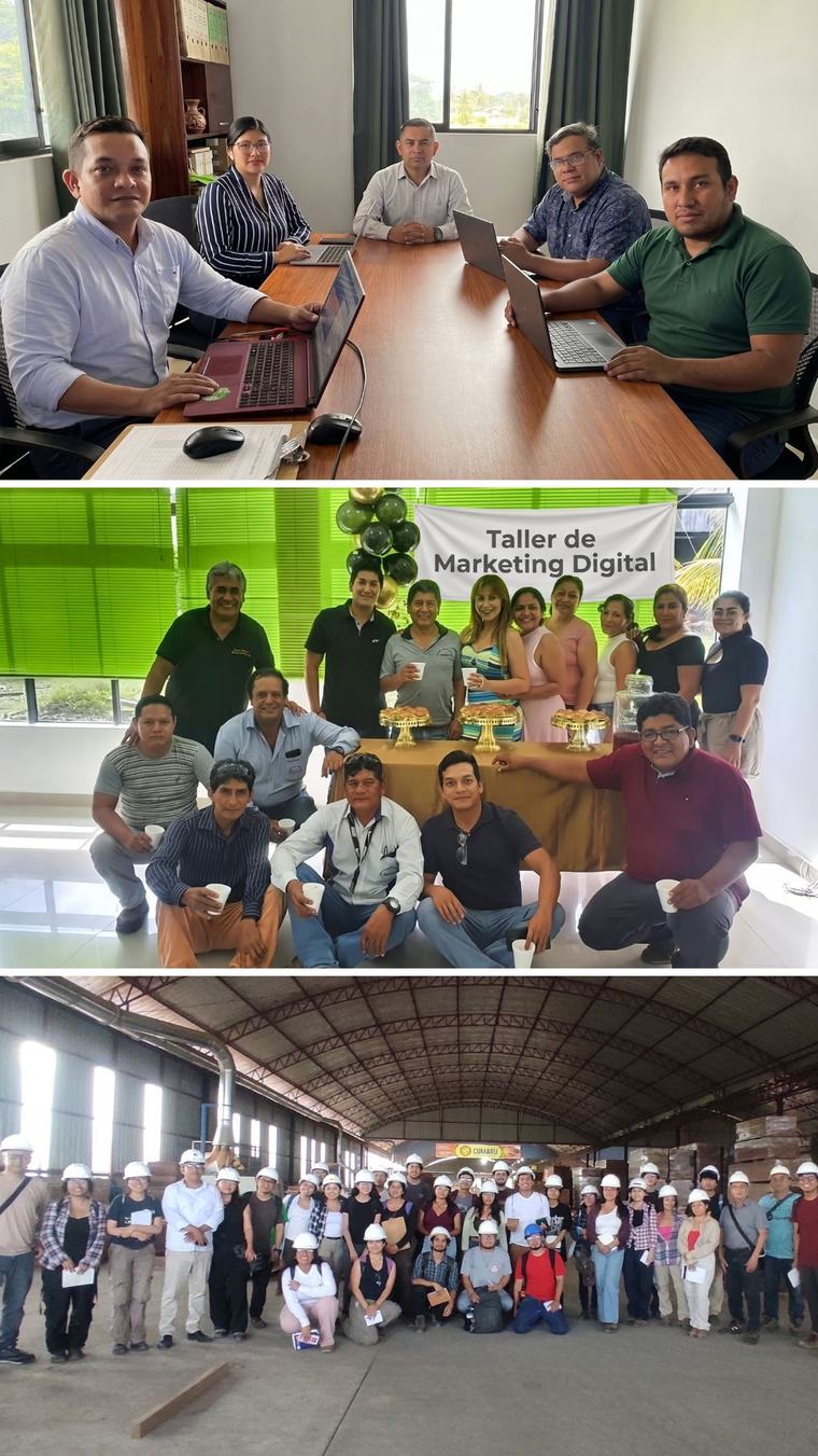 Julio Cuestas en talleres de marketing digital y una visita de campo a Cumaru Industrias Forestales